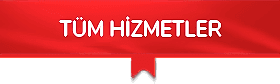 hizmet-buton
